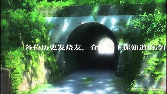 各位历史发烧友，介绍一下你知道的冷门史实或逆天史实？
