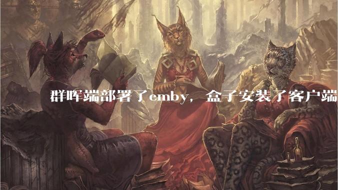 群晖端部署了emby，盒子安装了客户端播放蓝光电影为什么不能显示影片自带字幕？