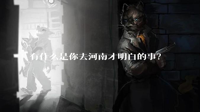 有什么是你去河南才明白的事？